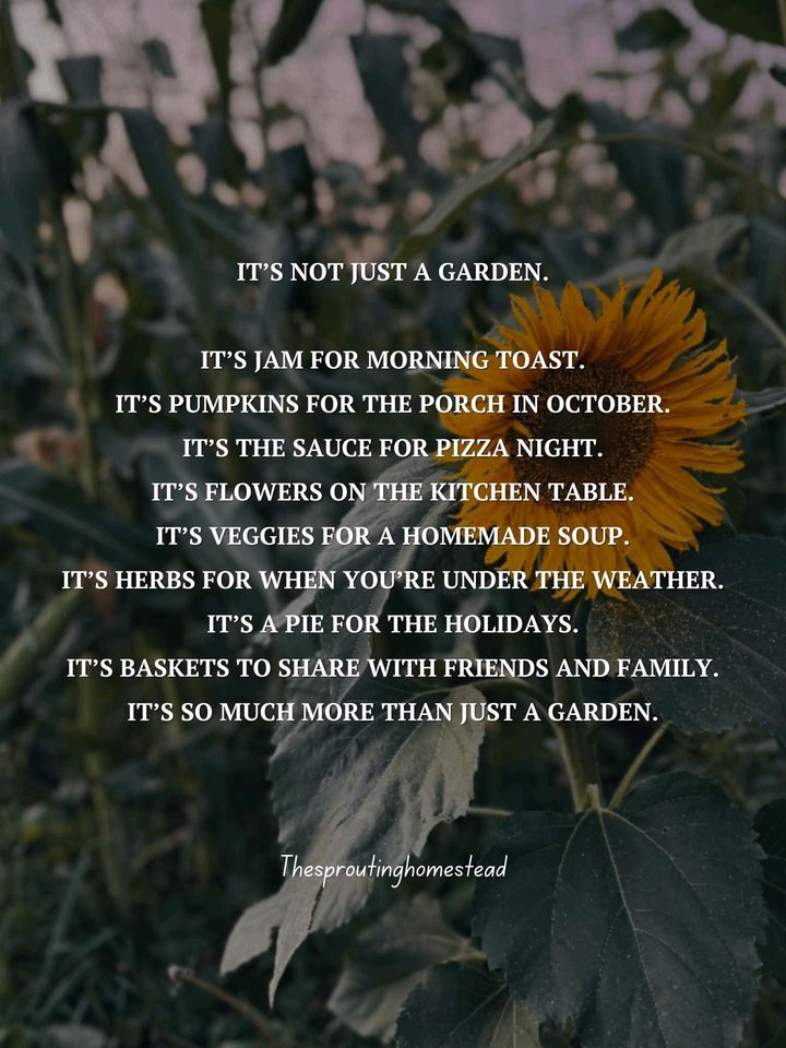 Group avatar for Park Student Gardening Club