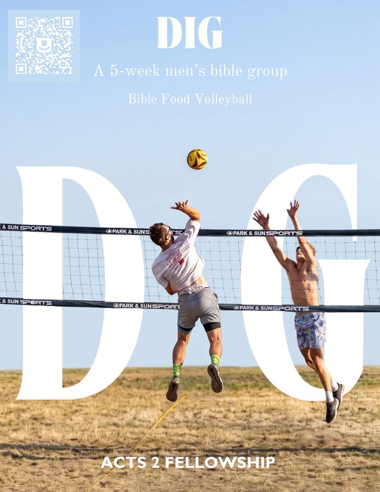 Group avatar for DIG Deep 🏐