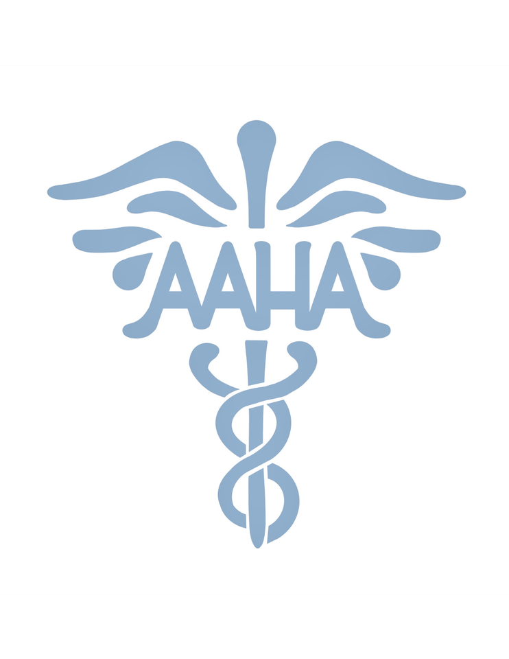 Group avatar for OU Asian Americans in Healthcare Association