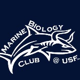 Group avatar for Marine biology club at USF 2025-2026