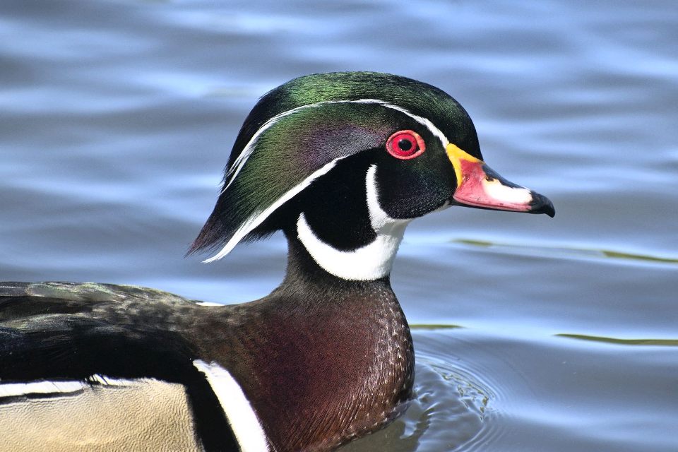 Group avatar for UT Naturspaziergänge