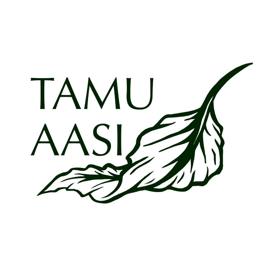 Group avatar for TAMU Asian American Studies Initiative