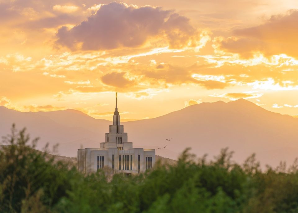 Group avatar for Hardman Farms 7th EQ