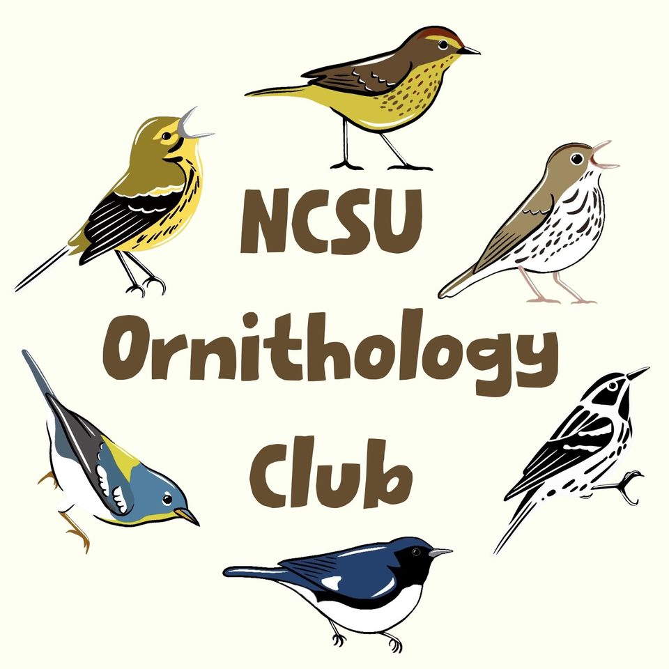 Group avatar for Ornithology Club At NC State (Bird Club)