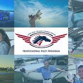 Group avatar for Lonestar Flying Mavericks