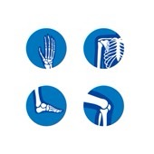 Group avatar for MSOM Orthopedic Interest Group