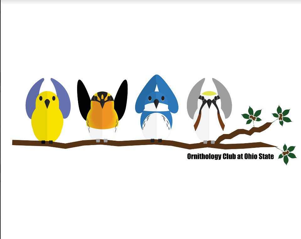 Group avatar for OSU Ornithology Club