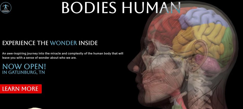 Group avatar for The Bodies Human Field Trip