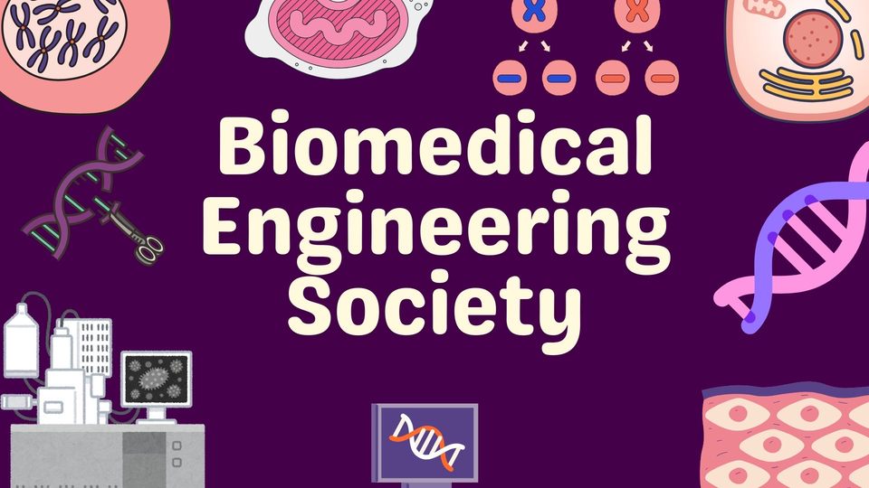 Group avatar for BMES 2026-2027