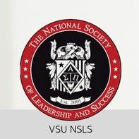 Group avatar for NSLS Non-Inducted Members Chat