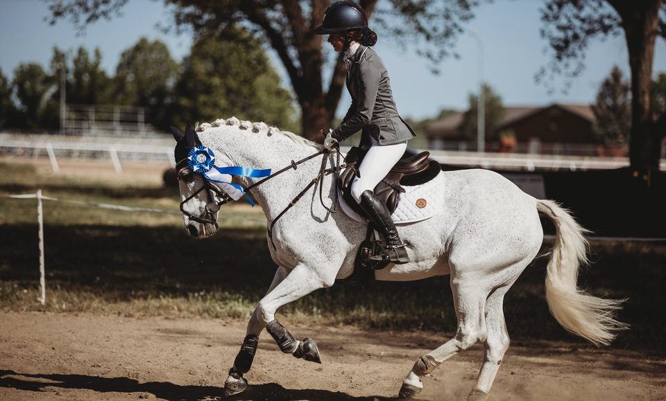 Group avatar for Golden Spike Horse Trials 2026