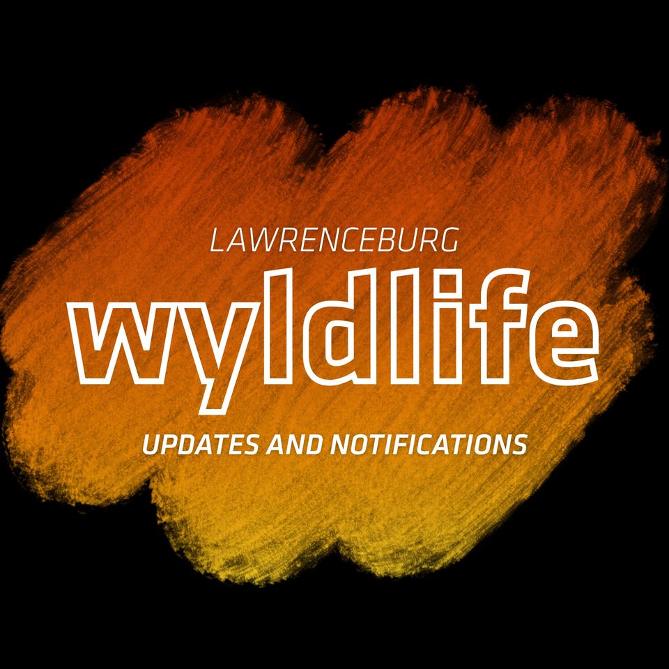 Group avatar for Lawrenceburg WyldLife