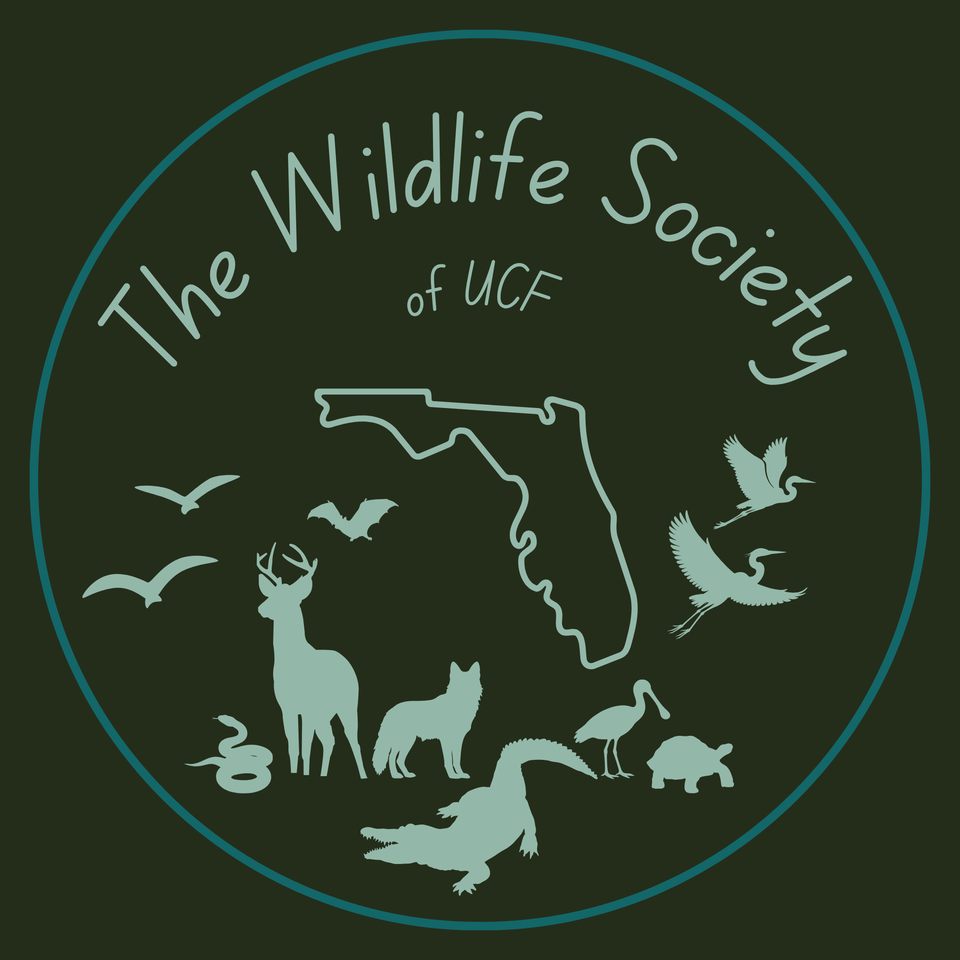 Group avatar for UCF Wildlife Society