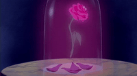 Group avatar for Beauty and the Beast Parent Group