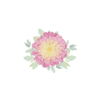 Group avatar for HerFlora 26’-27’