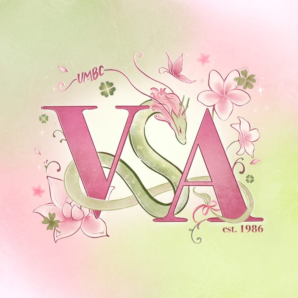 Group avatar for UMBC VSA