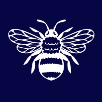 Group avatar for VB HIVE