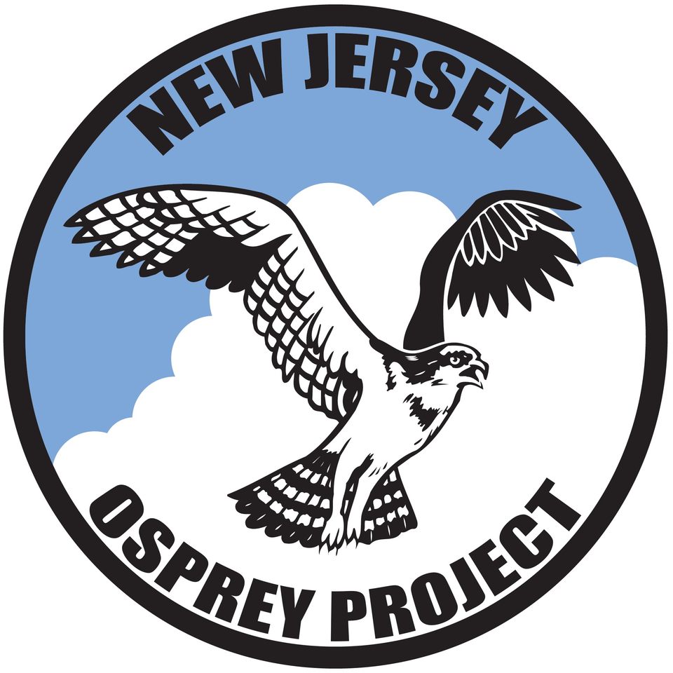 Group avatar for New Jersey Osprey Watch