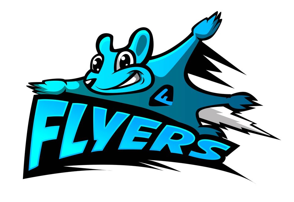 Group avatar for Flyers aka Summerville Frisbee Club