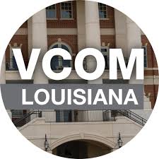 Group avatar for VCOM- LA Class of 2029