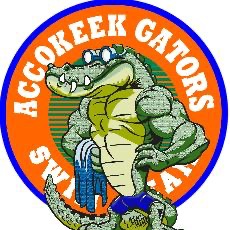 Group avatar for Accokeek Swim Team announcements