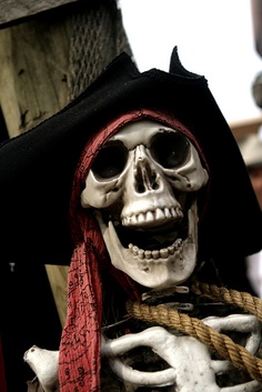 Group avatar for KOA Spring '26 Rush