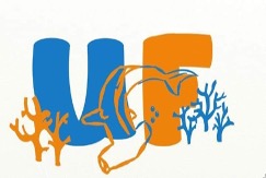 Group avatar for UF Marine Bio Club