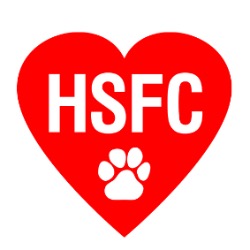 Group avatar for HSFC Youth Volunteers