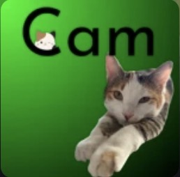 Group avatar for Cam Productions