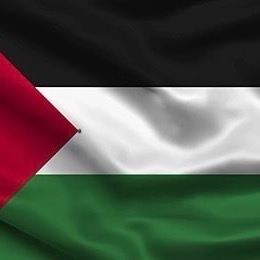 Group avatar for MSJP- OFFICIAL CHAT