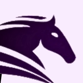 Group avatar for Lead Cheval 24/25