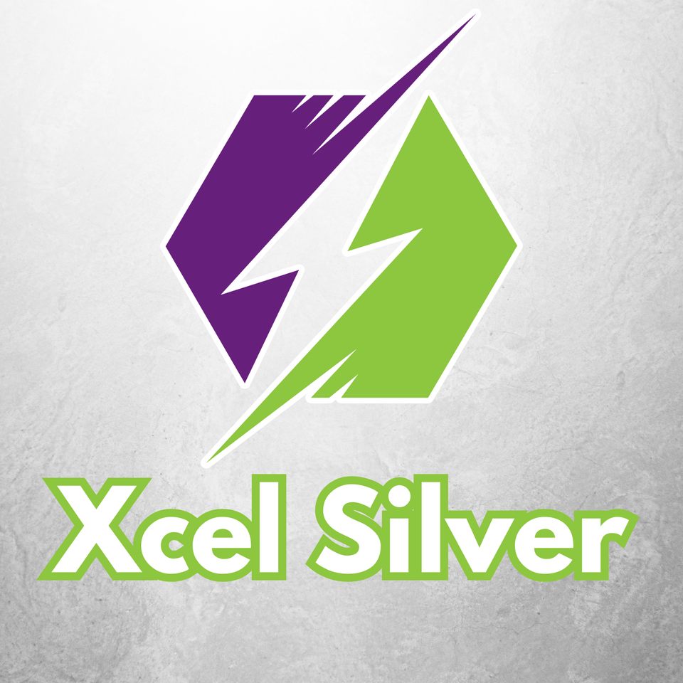 Group avatar for Xcel Silver - 2026
