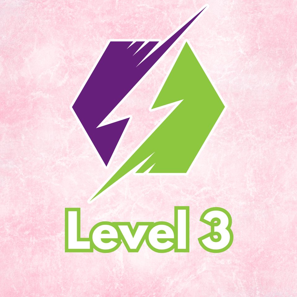 Group avatar for Level 3 - 2026