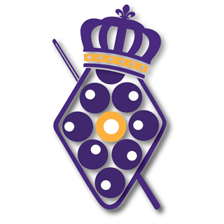 Group avatar for JMU Billiards Interest