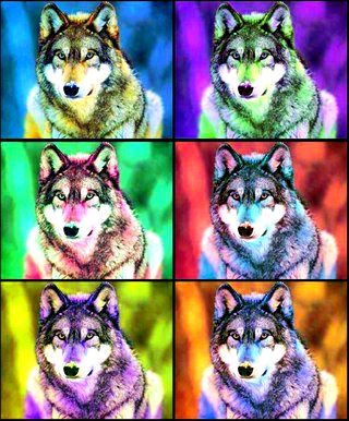 Group avatar for SF Band Props