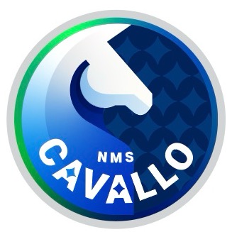 Group avatar for 25-26 NMS Cavallo Parent Chat