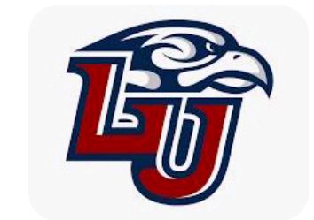Group avatar for Liberty University Class Of 2029