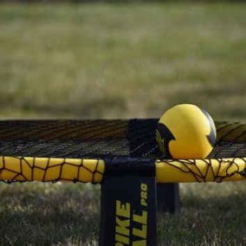 Group avatar for RUF MSU SPIKEBALL