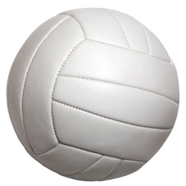 Group avatar for Hanover Horton Volleyball- Parents