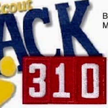 Group avatar for Pack 310 Lake Jackson Bess Brannen