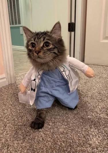 Group avatar for TWU Fall 26’ Nursing HTX