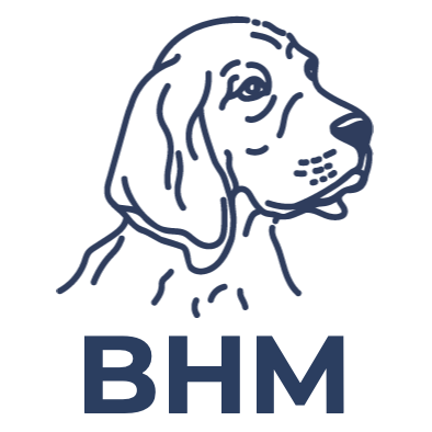 Group avatar for Scout BHM