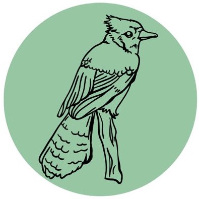 Group avatar for Blue Jays