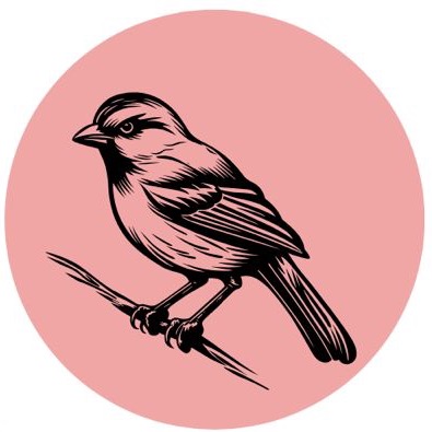 Group avatar for Sparrows