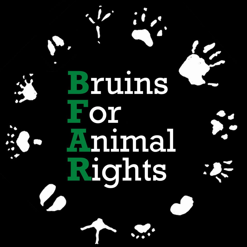 Group avatar for Bruins for Animal Rights