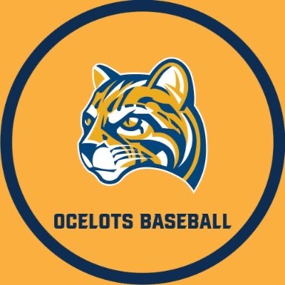 Group avatar for 2026 Ocelot Commits