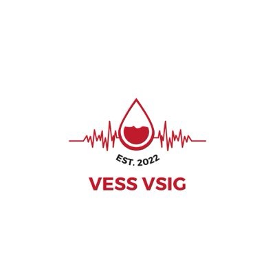 Group avatar for VESS VSIG