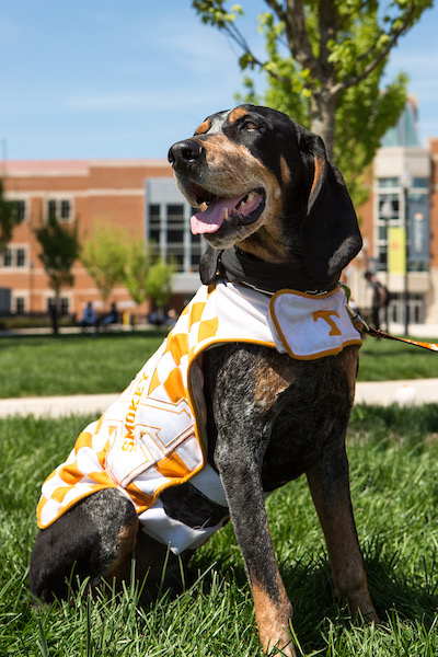 Group avatar for UTCVM c/o 2030 accepted students 🧡