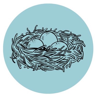 Group avatar for Nest