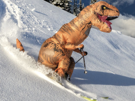 Group avatar for Lehigh Ski and Snowboard club